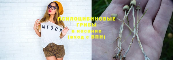 прущий лед Киреевск