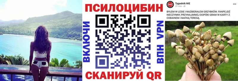 Галлюциногенные грибы Psilocybe  Невинномысск 