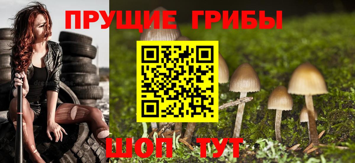 Невинномысск  Галлюциногенные грибы мухоморы  Галлюциногенные грибы прущие грибы  Вход с VPN 