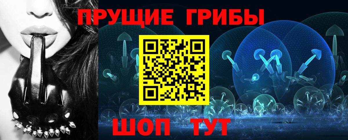 Галлюциногенные грибы Psilocybe Невинномысск