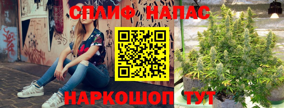 МАРИХУАНА семена Невинномысск